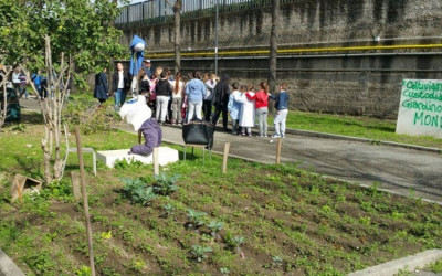 Alberi e compostiere a Portici per il progetto Rifiuti Zero