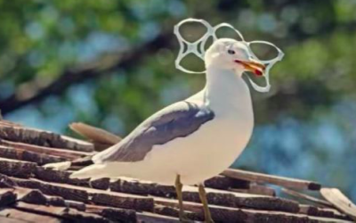Imballaggio bio per le birre