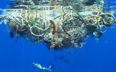 Allarme Unep, troppi rifiuti nel Mediterraneo