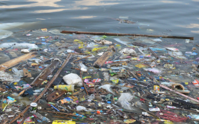 L’EU si deve battere per un futuro libero dall’inquinamento causato dalla plastica